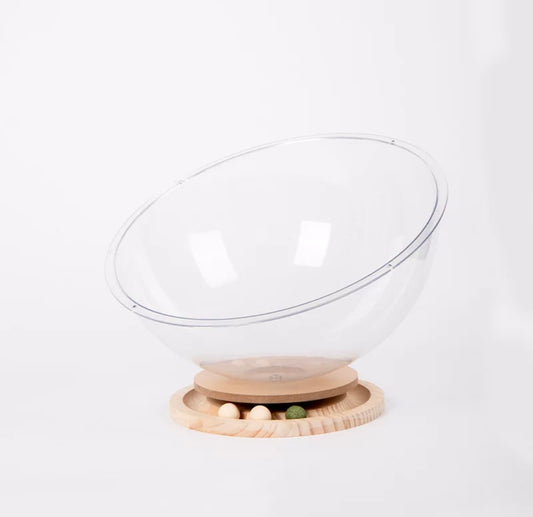 Cat Clear Capsule Bed