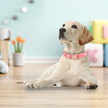 Dog Pastel Cherry Pink Collar Set