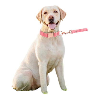 Dog Pastel Cherry Pink Collar Set