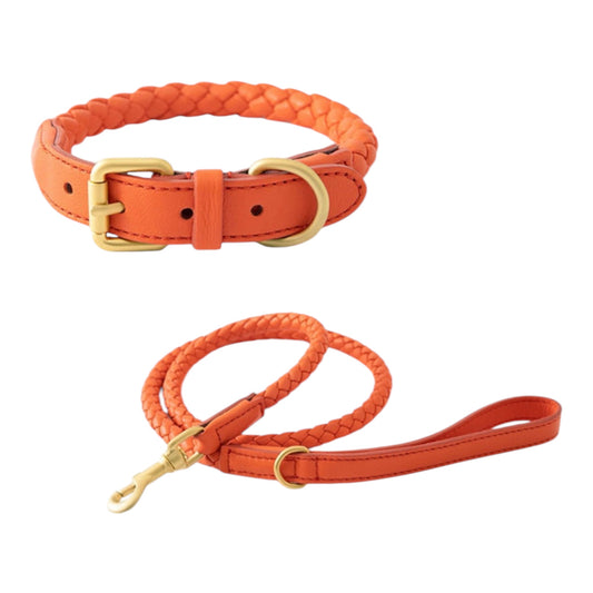 Premium Eco Leather Dog Collar Set - Orange Colour